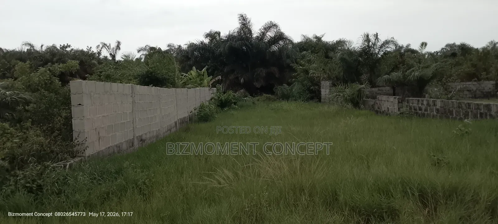 Five and Half Plots of Land for Sale