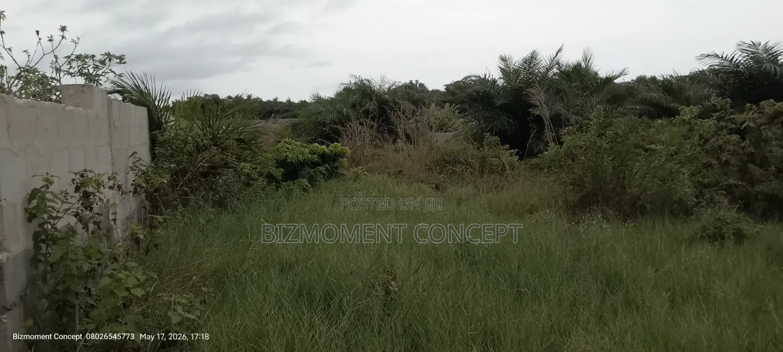 Five and Half Plots of Land for Sale