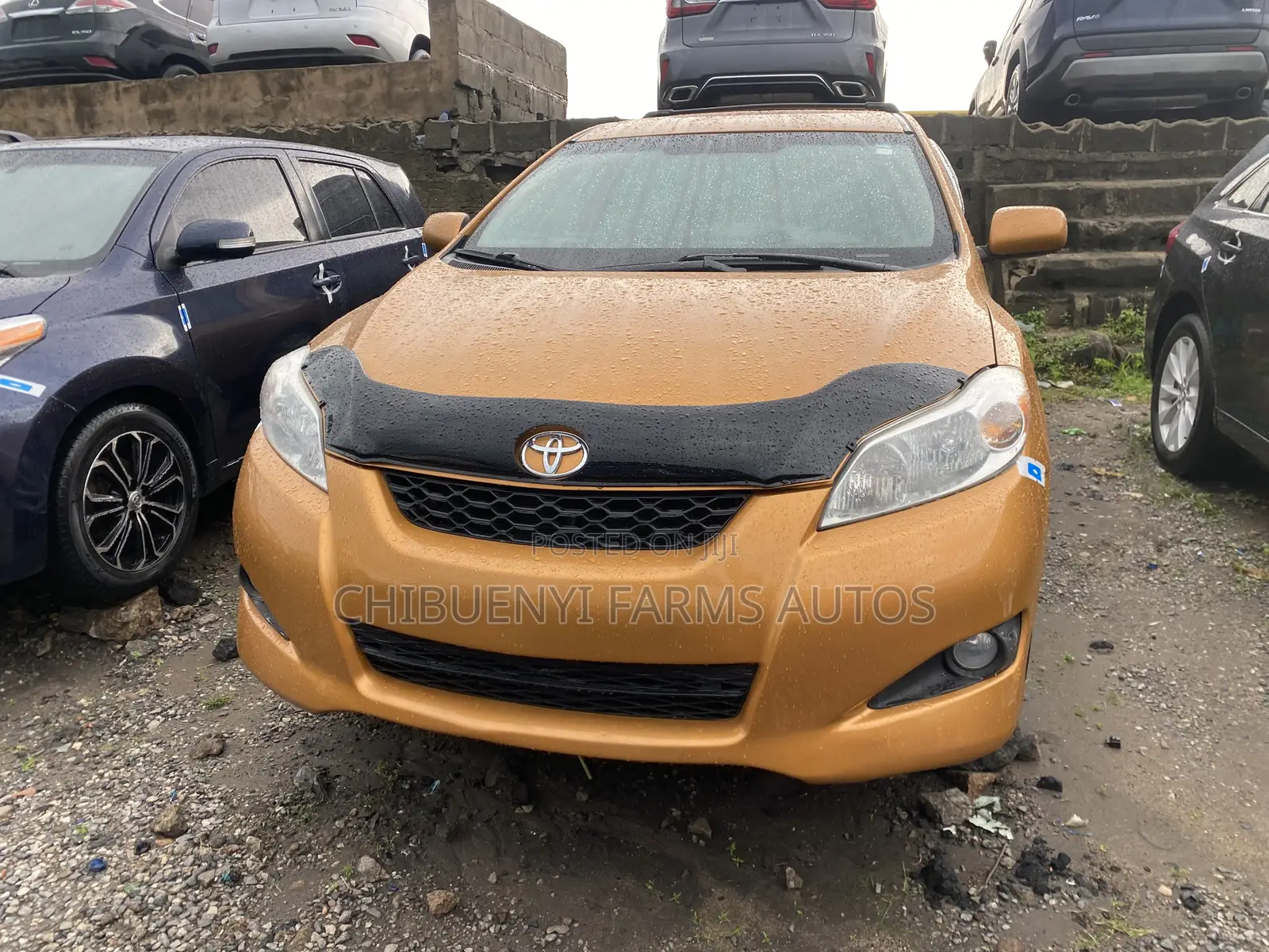 Toyota Matrix L Hatchback FWD (1.8L 4cyl 5M) 2011 Gold
