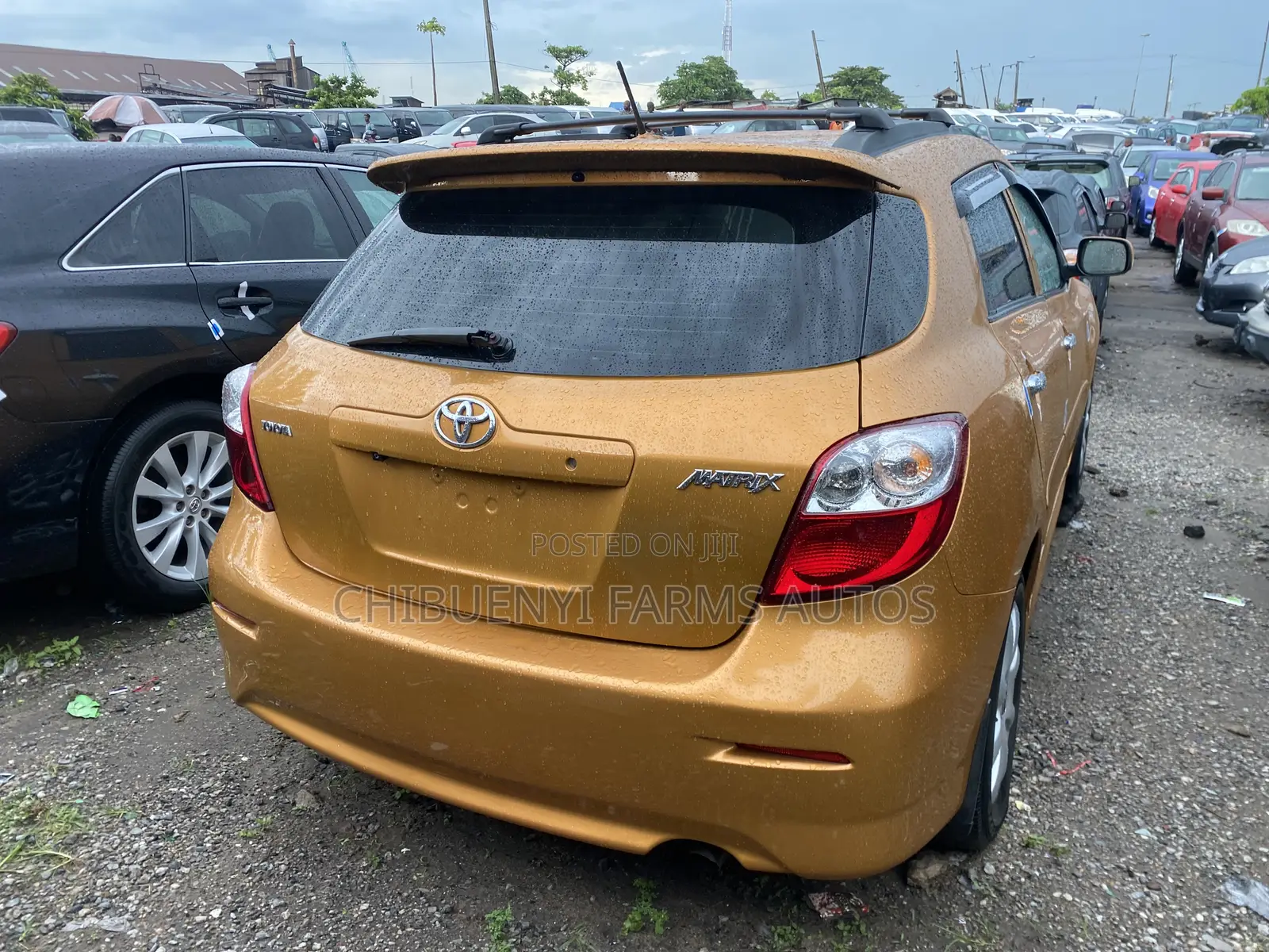 Toyota Matrix L Hatchback FWD (1.8L 4cyl 5M) 2011 Gold