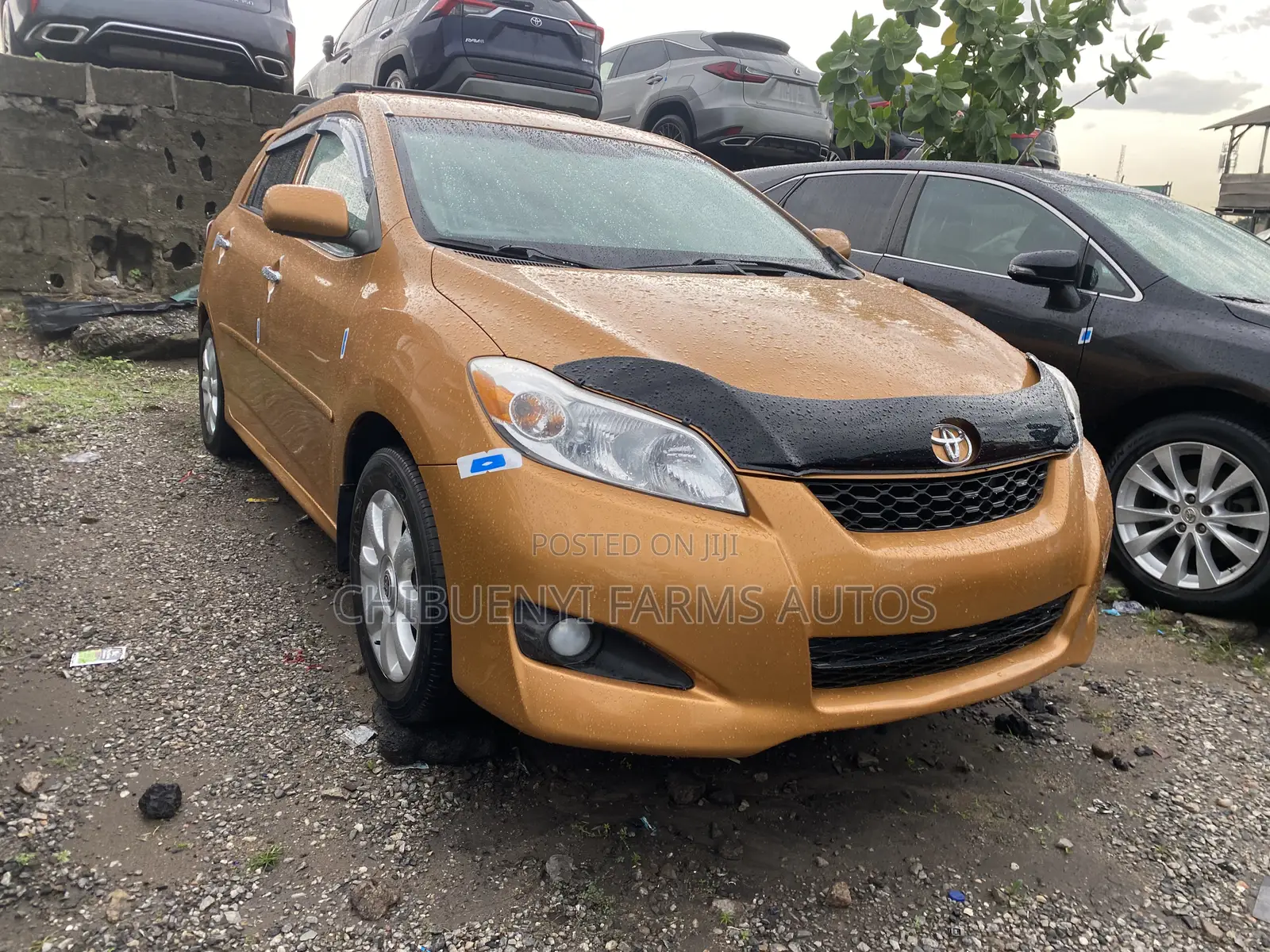 Toyota Matrix L Hatchback FWD (1.8L 4cyl 5M) 2011 Gold