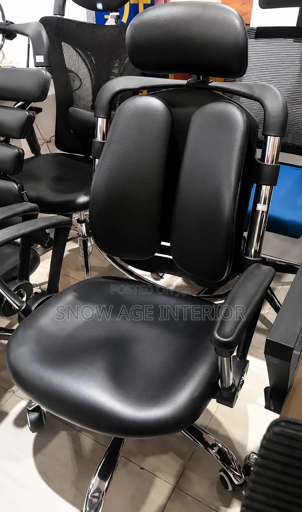Executive Ergonomic Lumber Support Kidney Chair (Fix Arm)