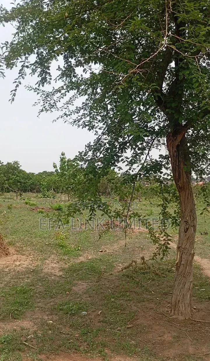 Prime Plots in Lokogoma, Abuja | All-Inclusive Prices + DPC