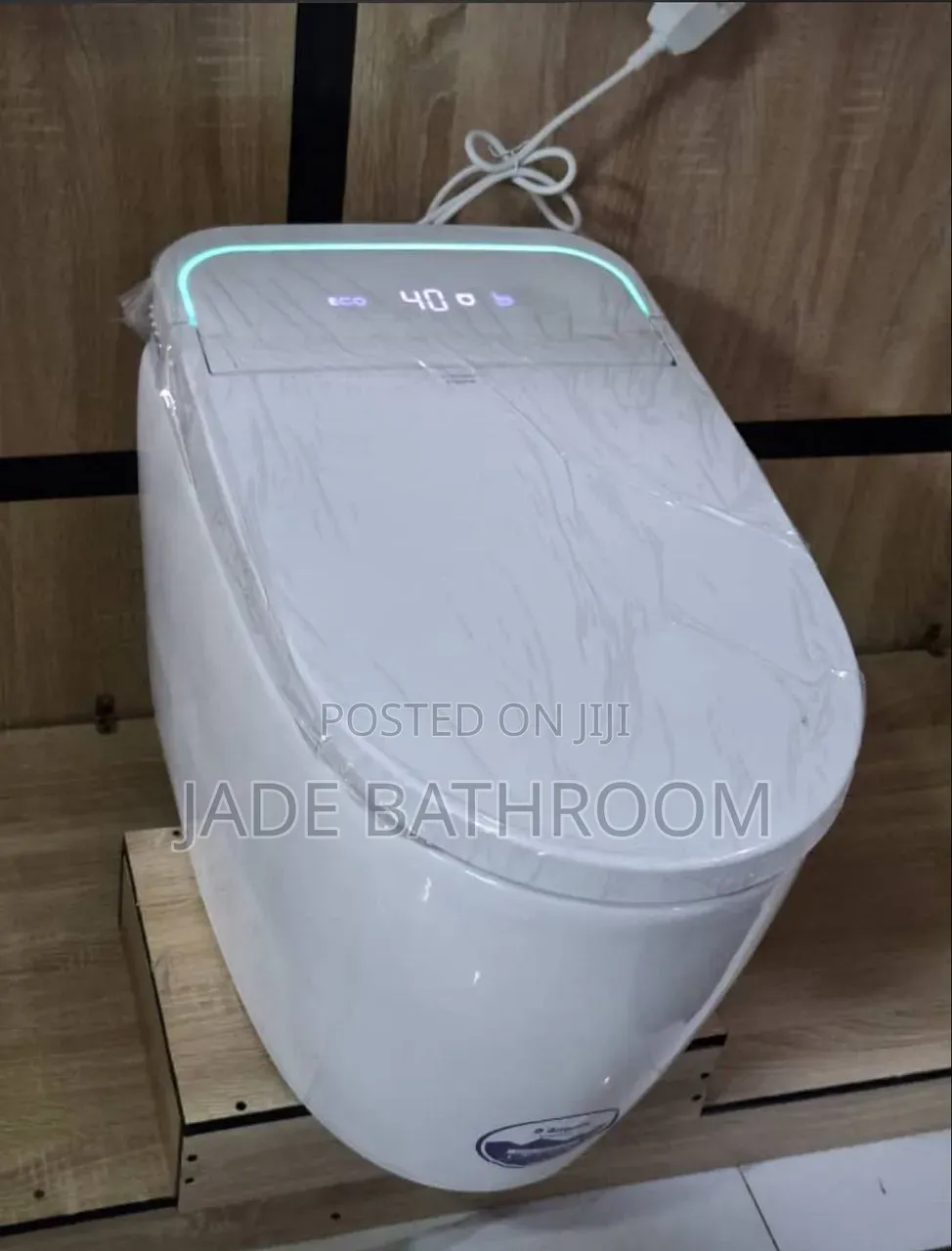 Intelligent Water Closet