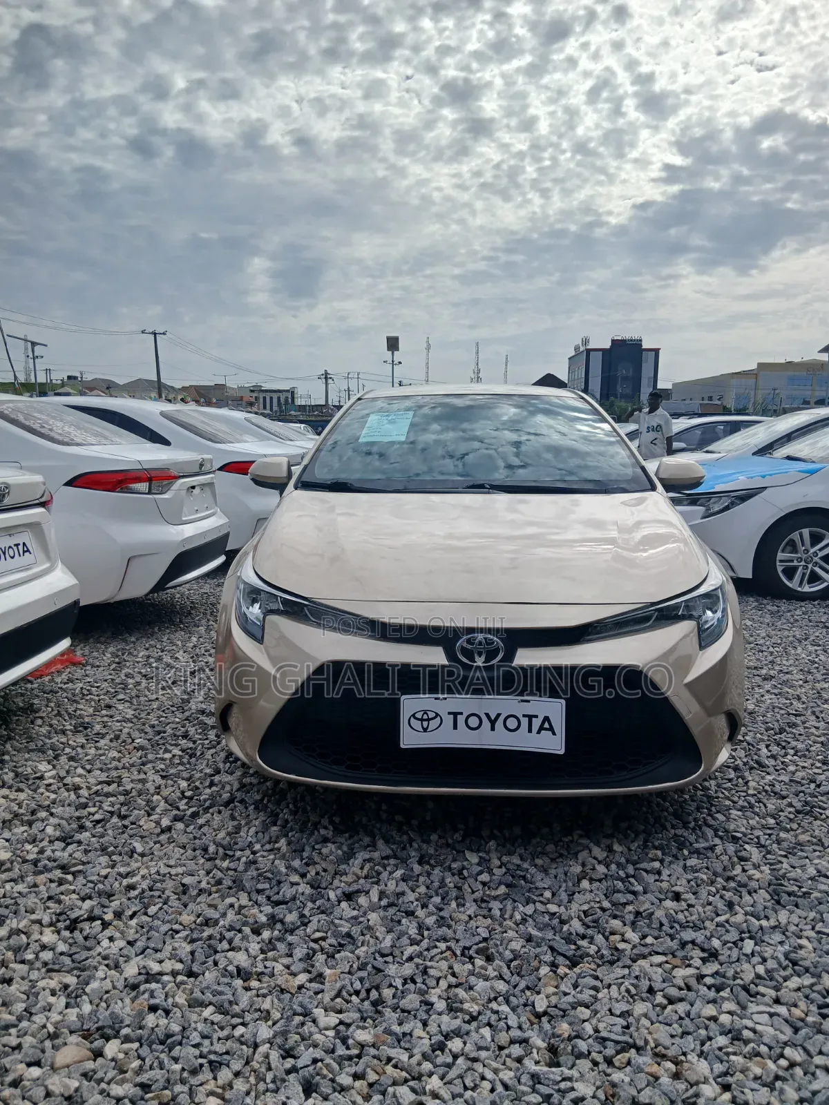 Toyota Corolla 2022 Gold