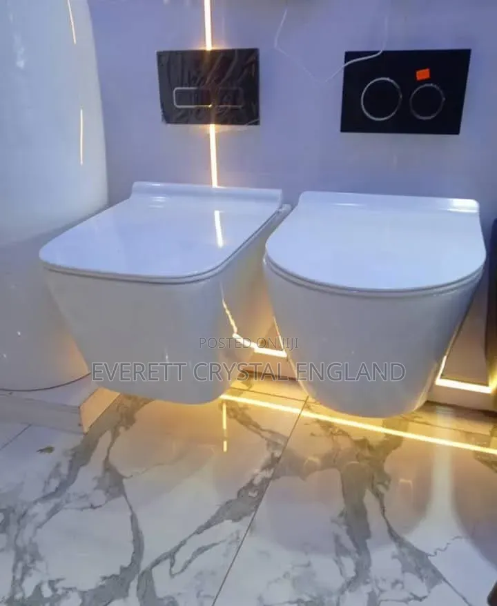 Executive Conceal Wc