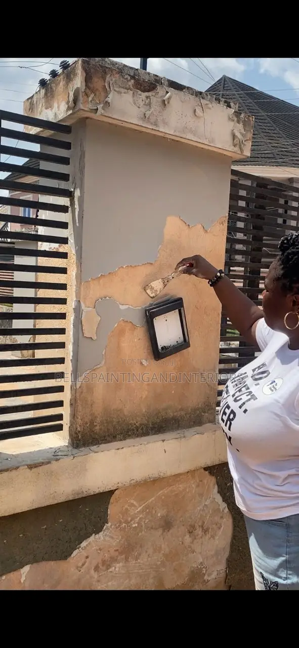 Professional House Painter- Travel Available Across Edo State Eviron