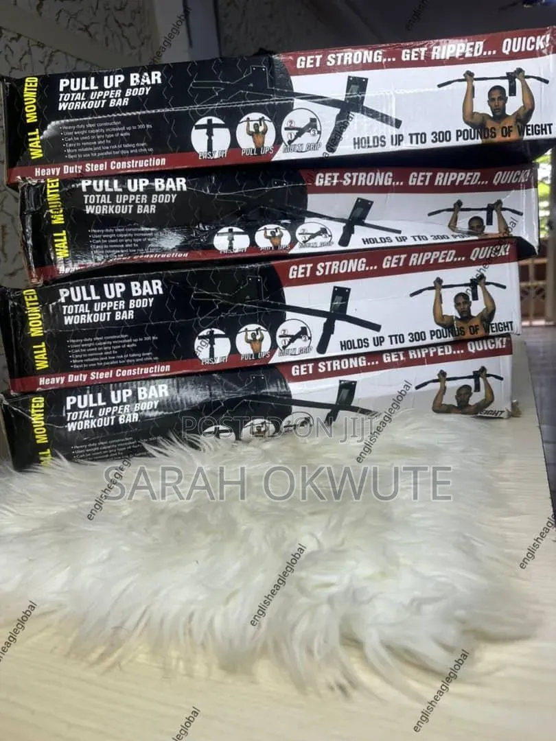 Wall Gym / Pull Up Bar