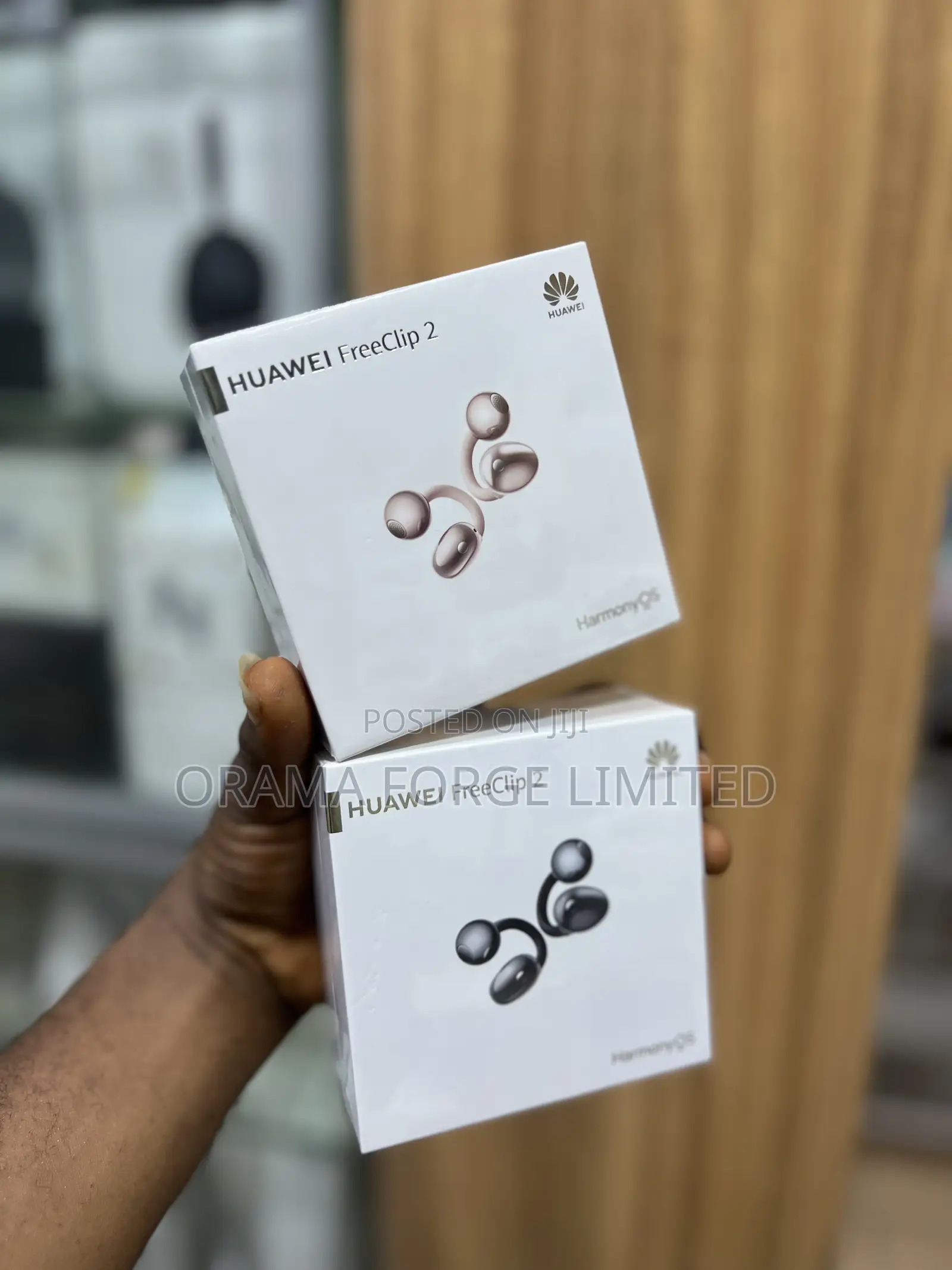 Freeclip 2 Earbuds