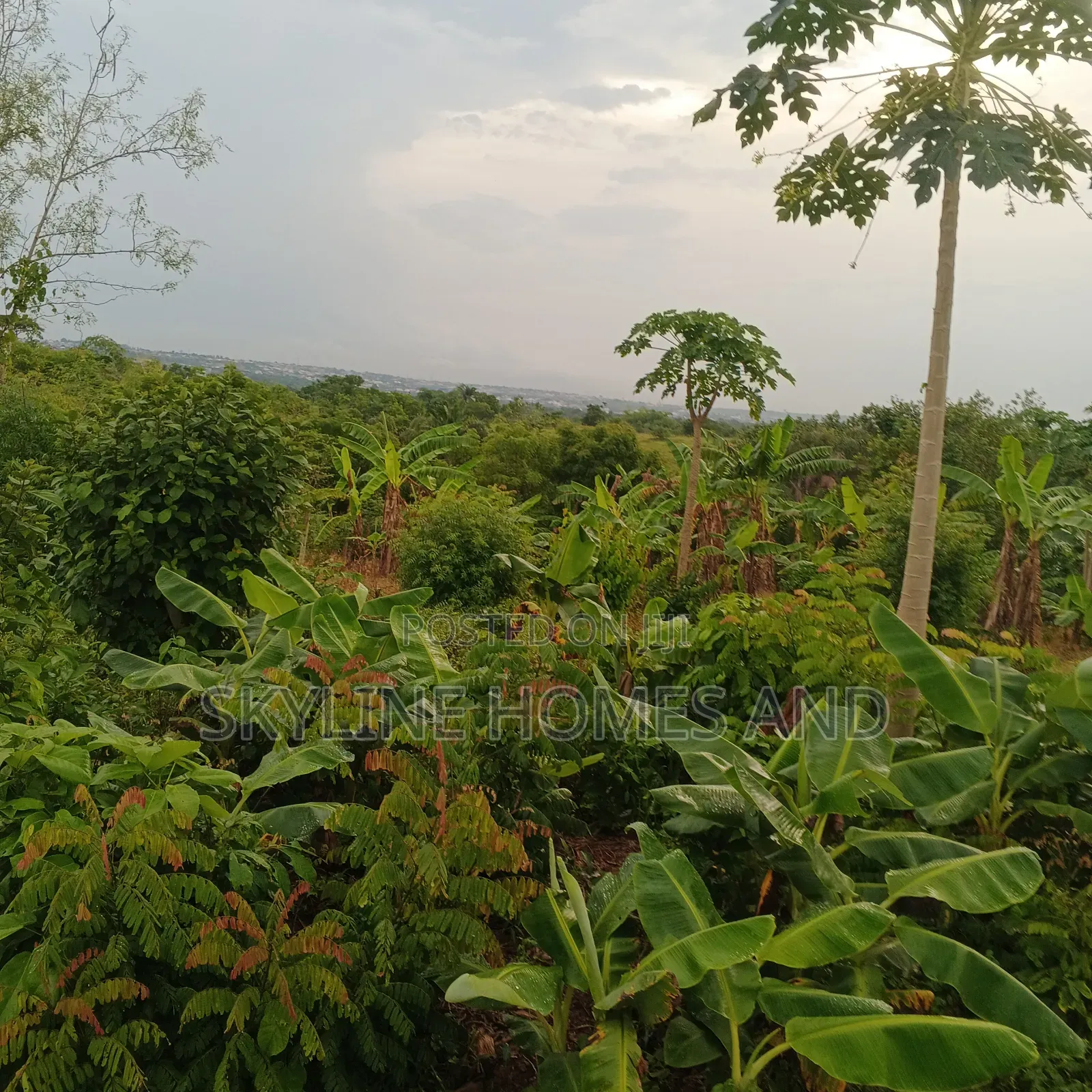 A Plot of Land for Sale at Alagada
