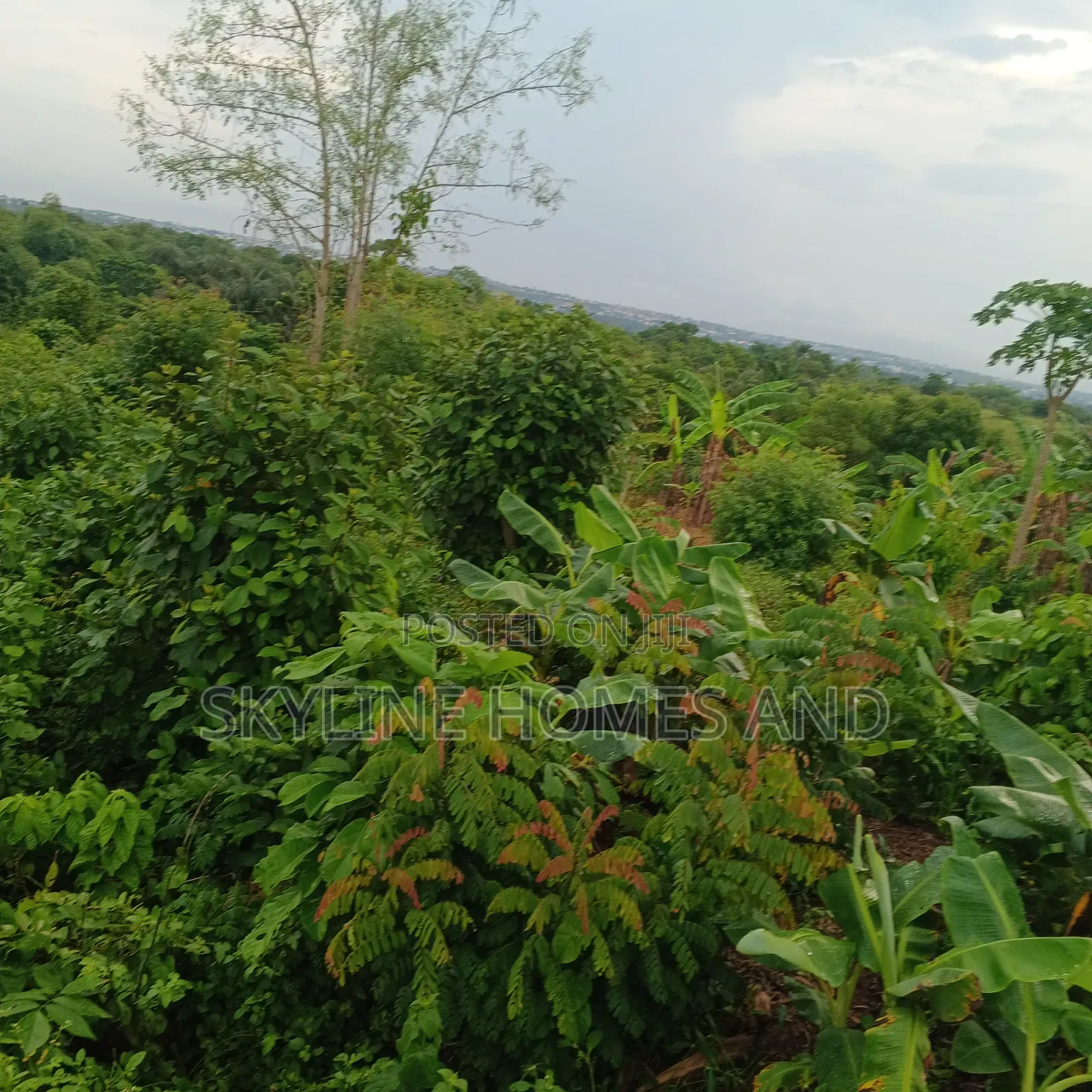 A Plot of Land for Sale at Alagada