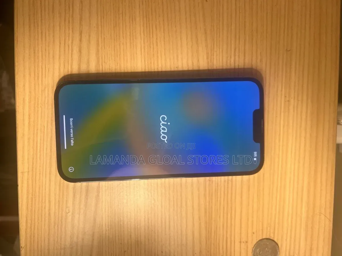 Apple iPhone 13 Pro Max 1 TB