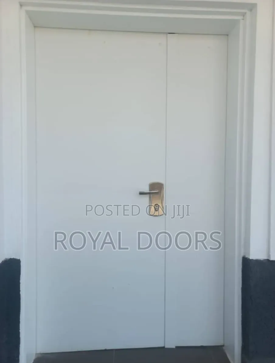 Plain Israeli Security Door
