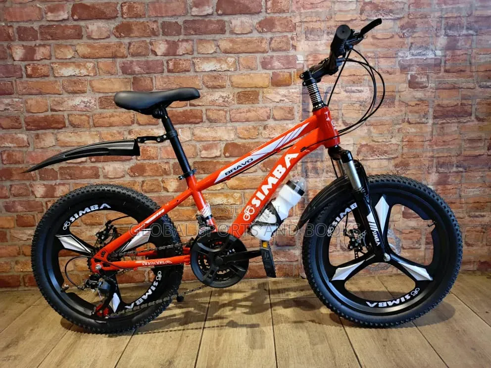 Size 20 Bicycle for Teenager