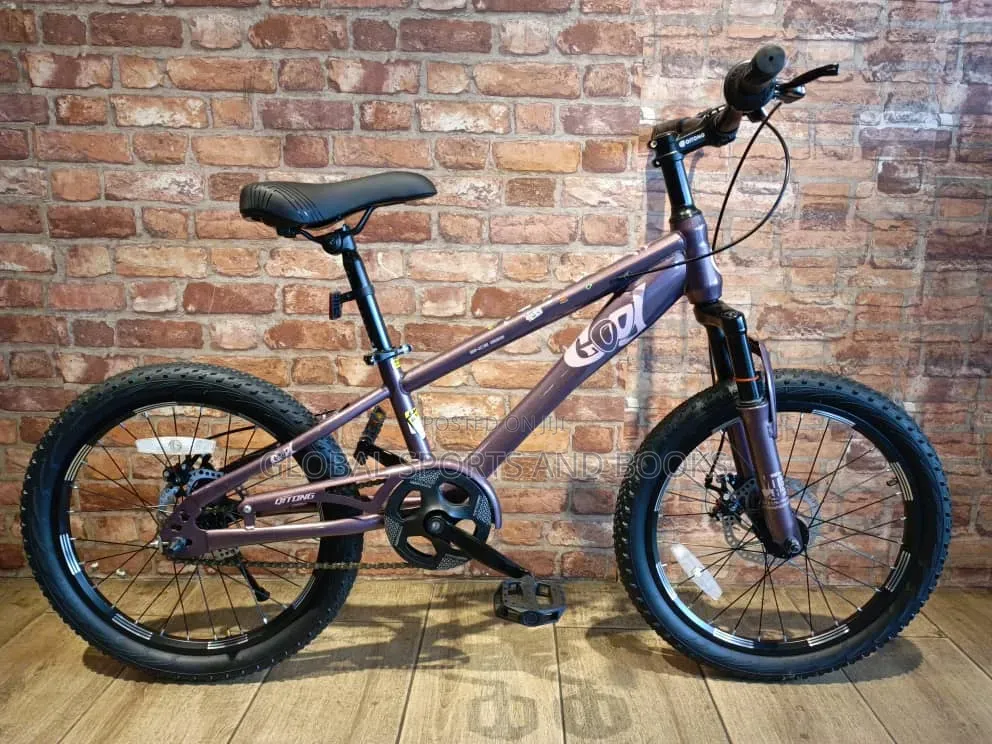 Size 20 Bicycle for Teenager