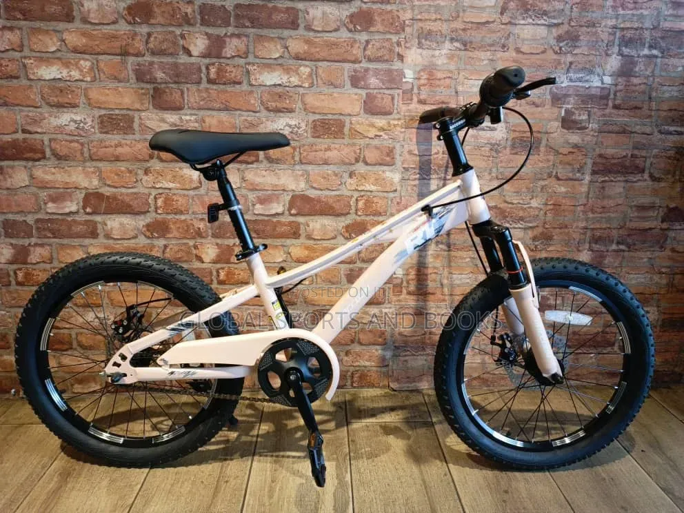 Size 20 Bicycle for Teenager