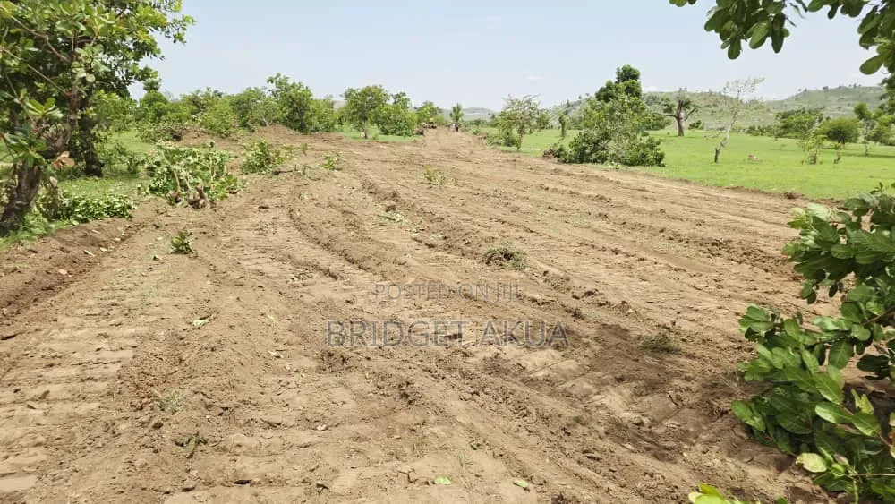 Land Promo Sale in Apo Burum West District