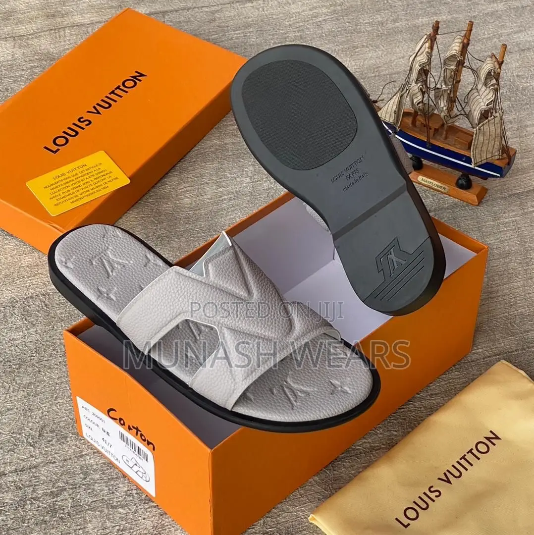 Louis Vuitton Brown and Ash Available 40-46