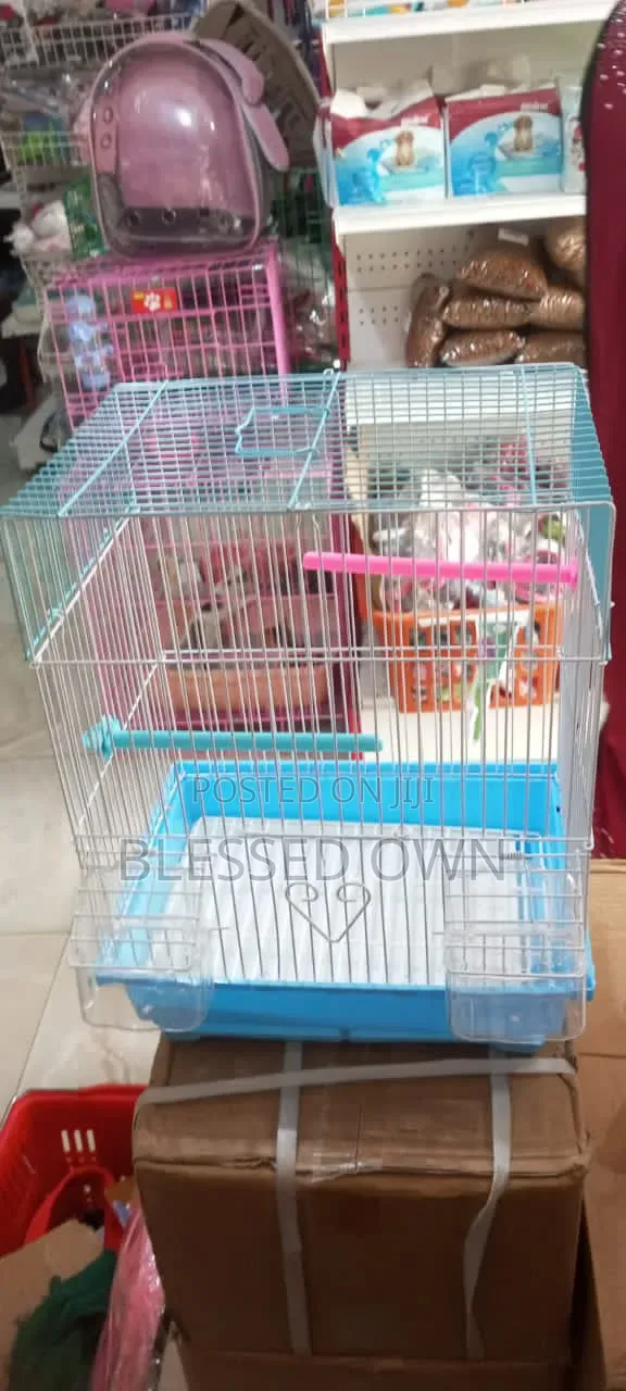Beautiful Cages for Bird