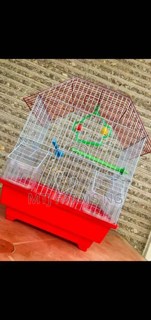 Lovebirds and Parakeet Cage