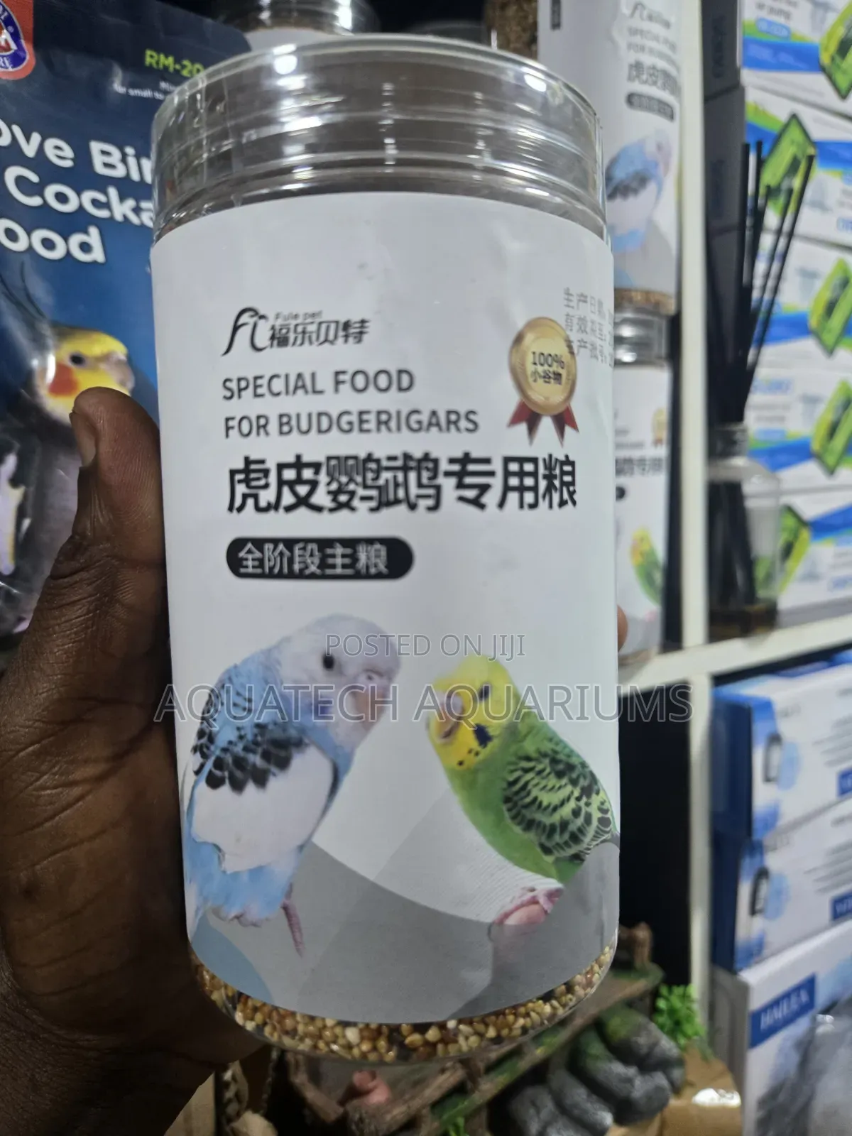 Bird Food for Budgerigars and Small Birds