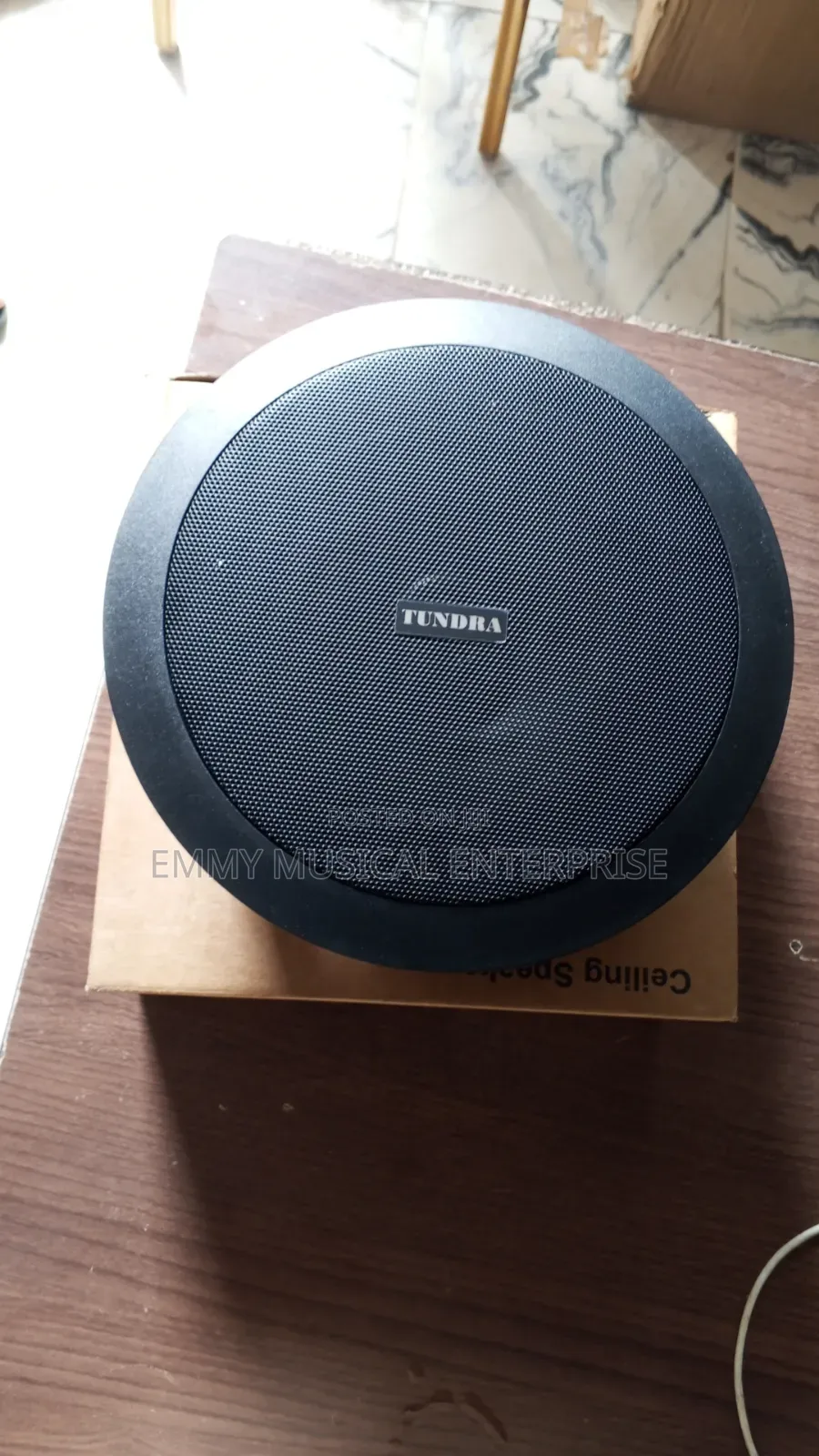 Black Ceiling Speaker
