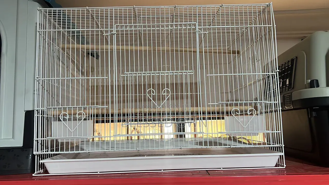 African Grey Parrots and Other Birds Cage