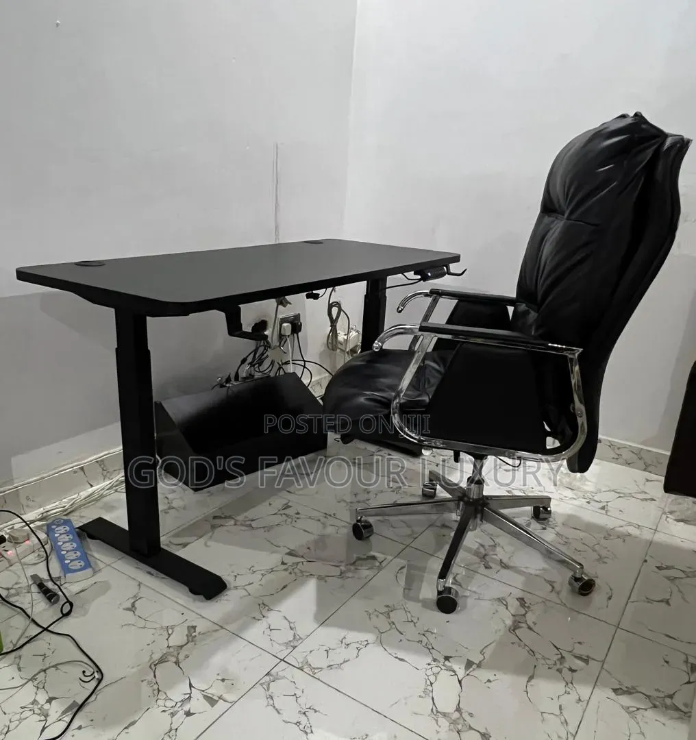 Home/Office Sit-Stand Gaming Desk and Ergonomic Design Chair(Electric)