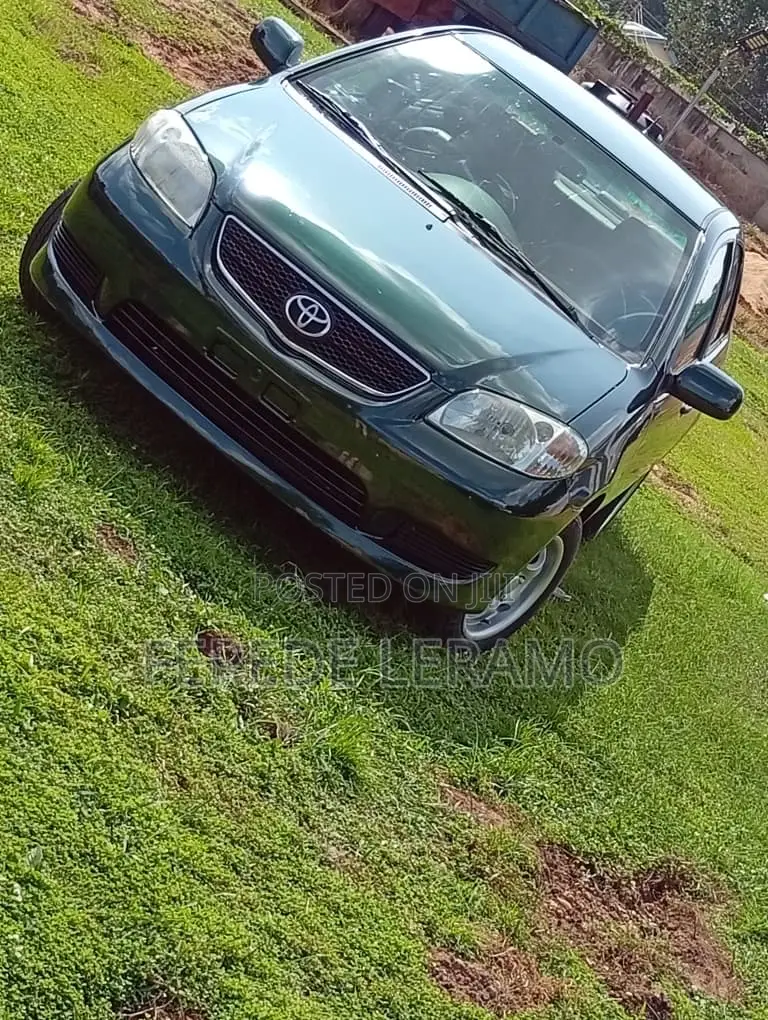 Toyota Vios 2005 Green
