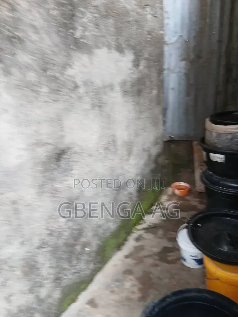 Full Plot With Demolishable Bungalow for Sale at Agege Lagos