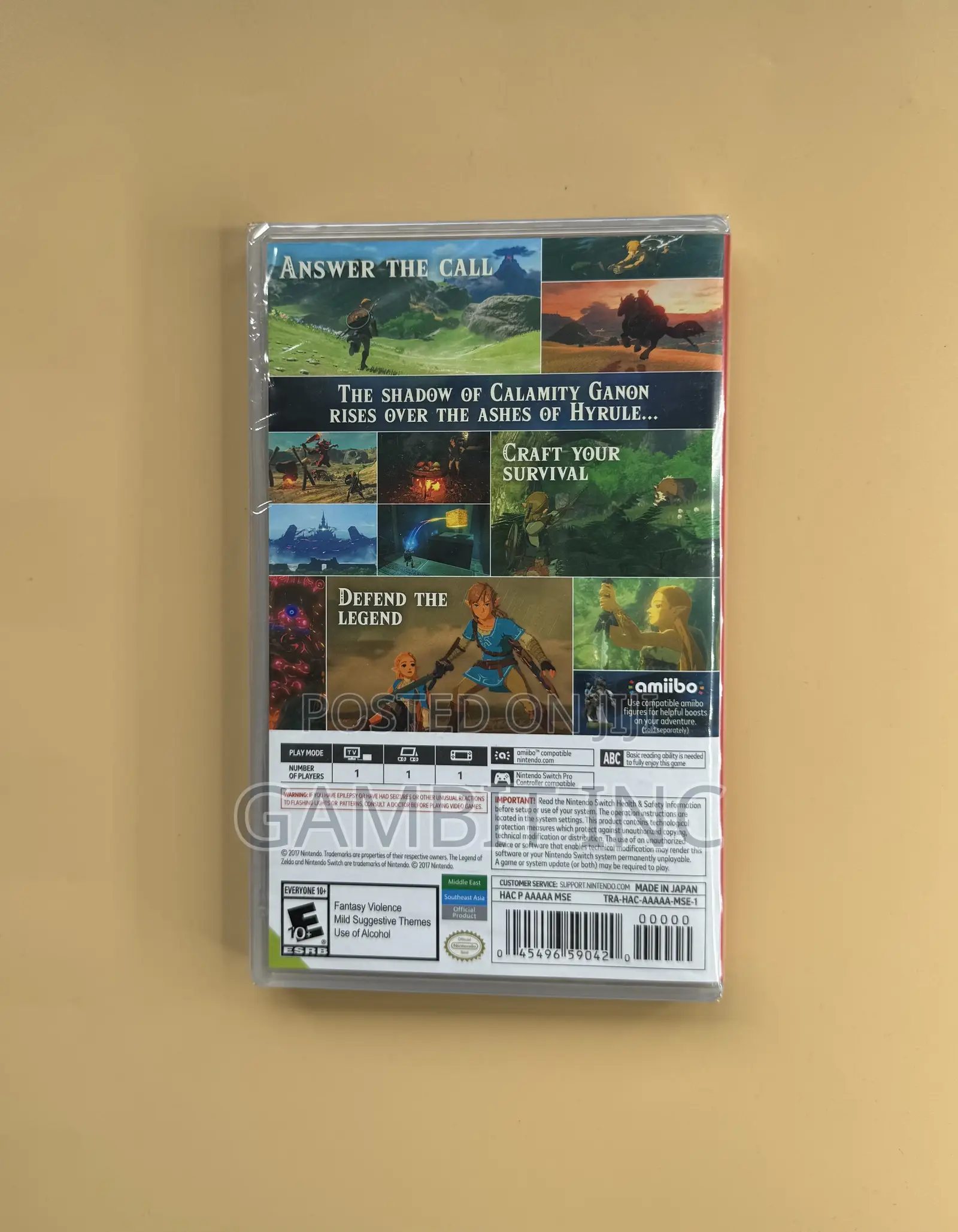 Nintendo Switch the Legend of Zelda Breath of the Wild