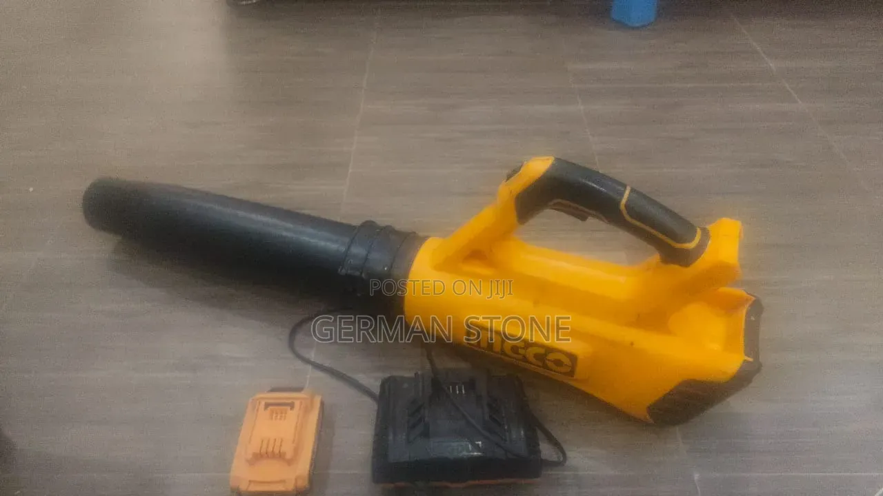 Ingco 20v Cordless Blower Featuring a Brushless Motor and "P20s"