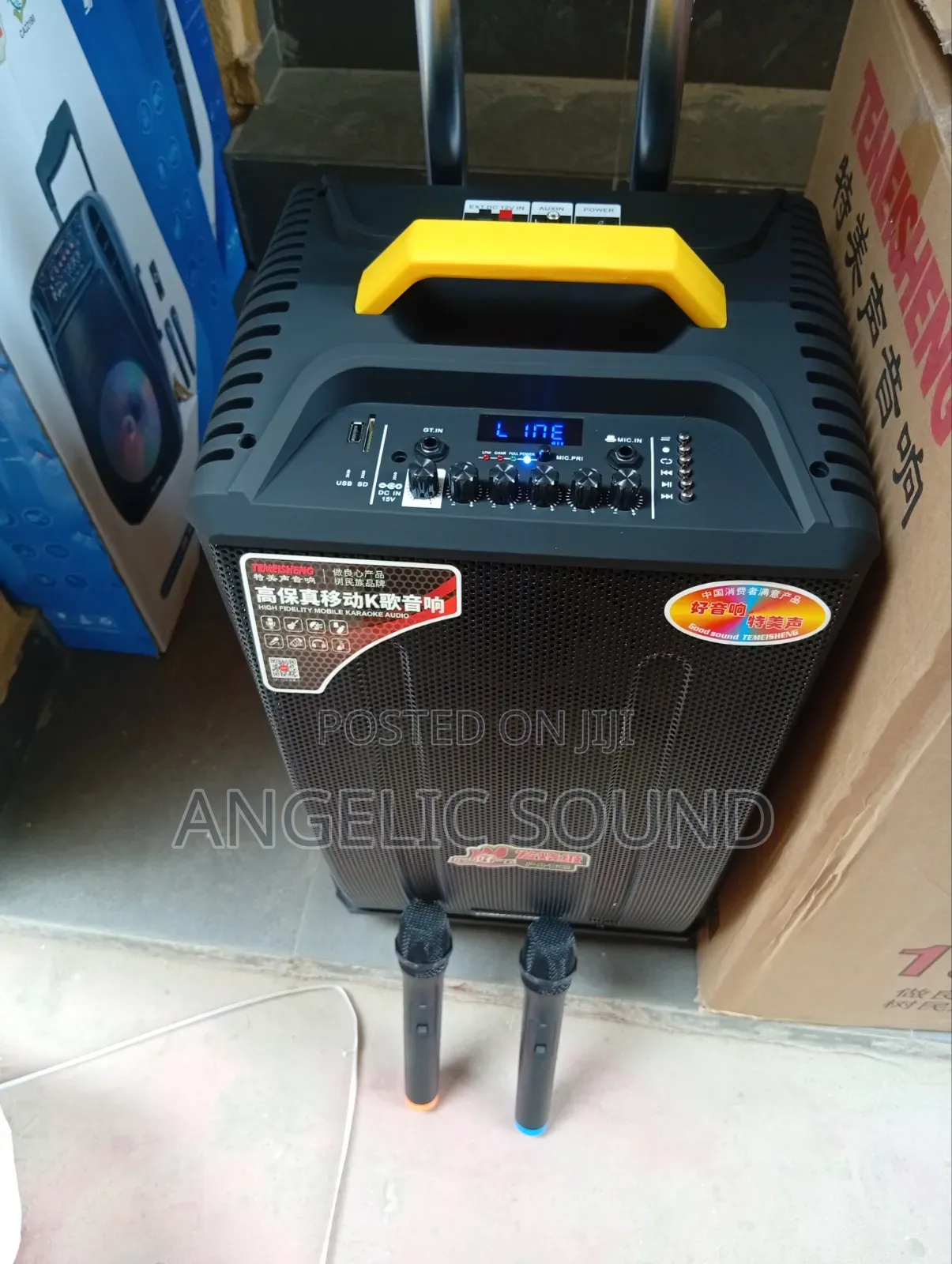 Temeisheng 12 Inches Public Address System