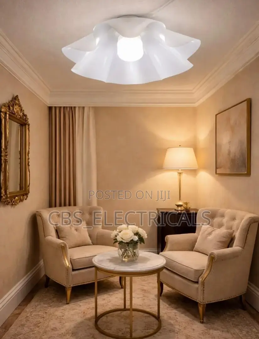 Acrylic Ceiling Lamp
