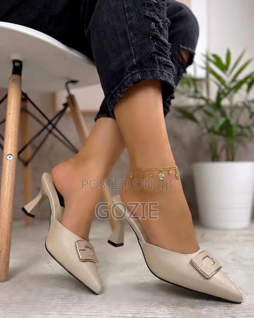 Gorgeous Slip on Pointees