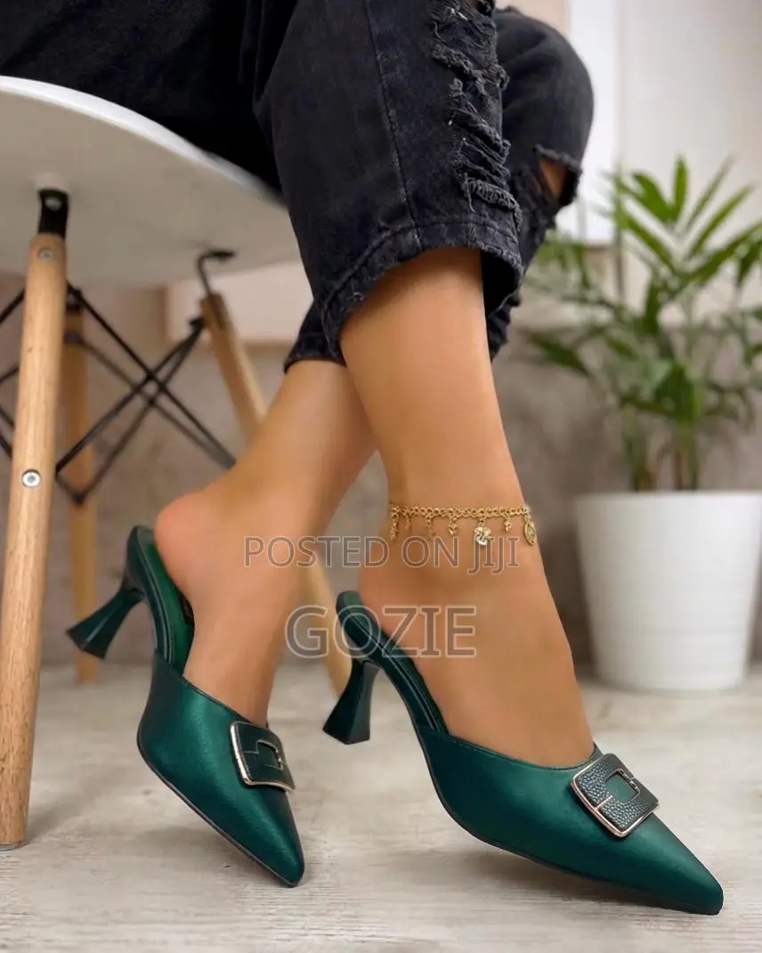 Gorgeous Slip on Pointees