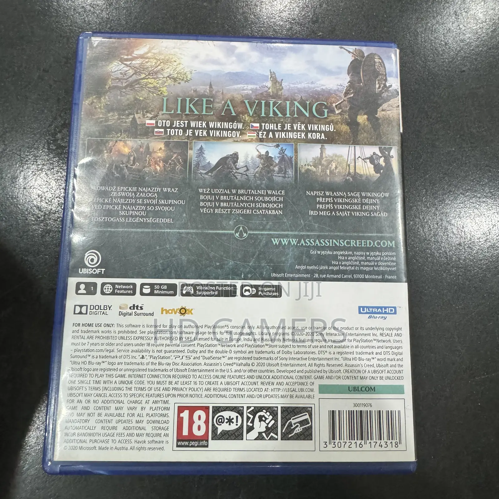 Assassins Creed Valhalla