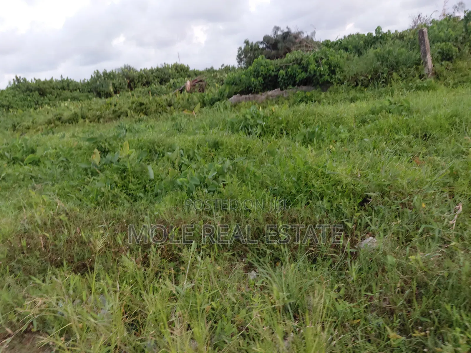 1100sqm Joint Venture (Jv) Admiralty Lleki Phase 1 Lagos