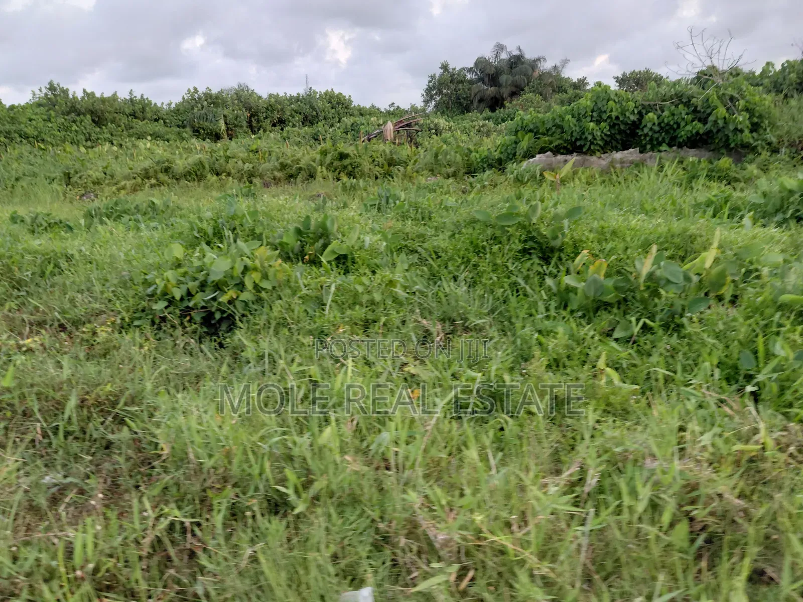 1100sqm Joint Venture (Jv) Admiralty Lleki Phase 1 Lagos