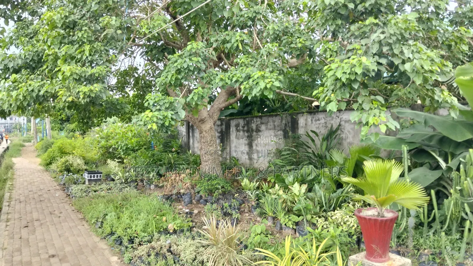 For Sale : Cofo Cornerpiece 4 Plots at Bank Road, Umuahia Abia State