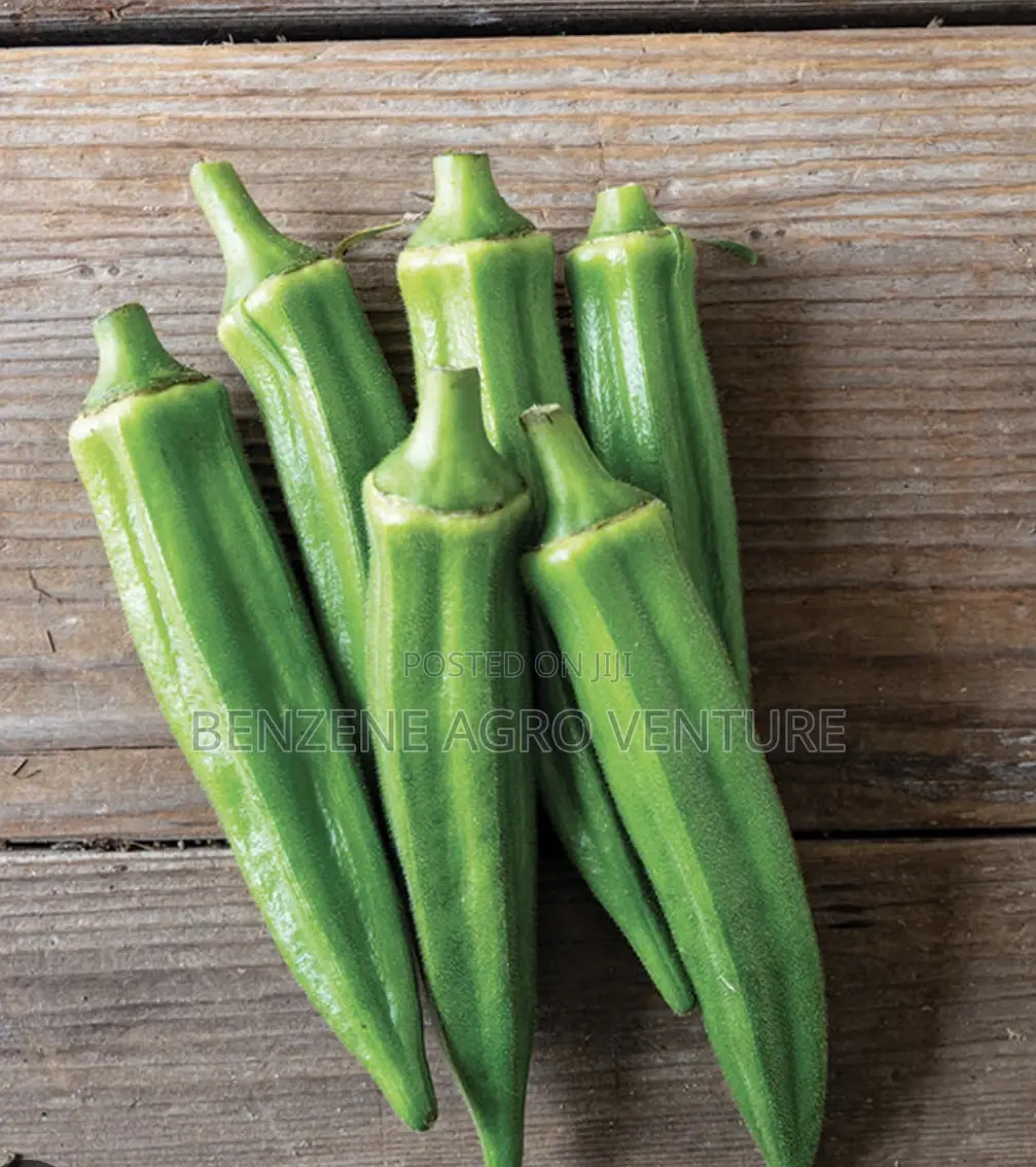Hybrid Okro Seed