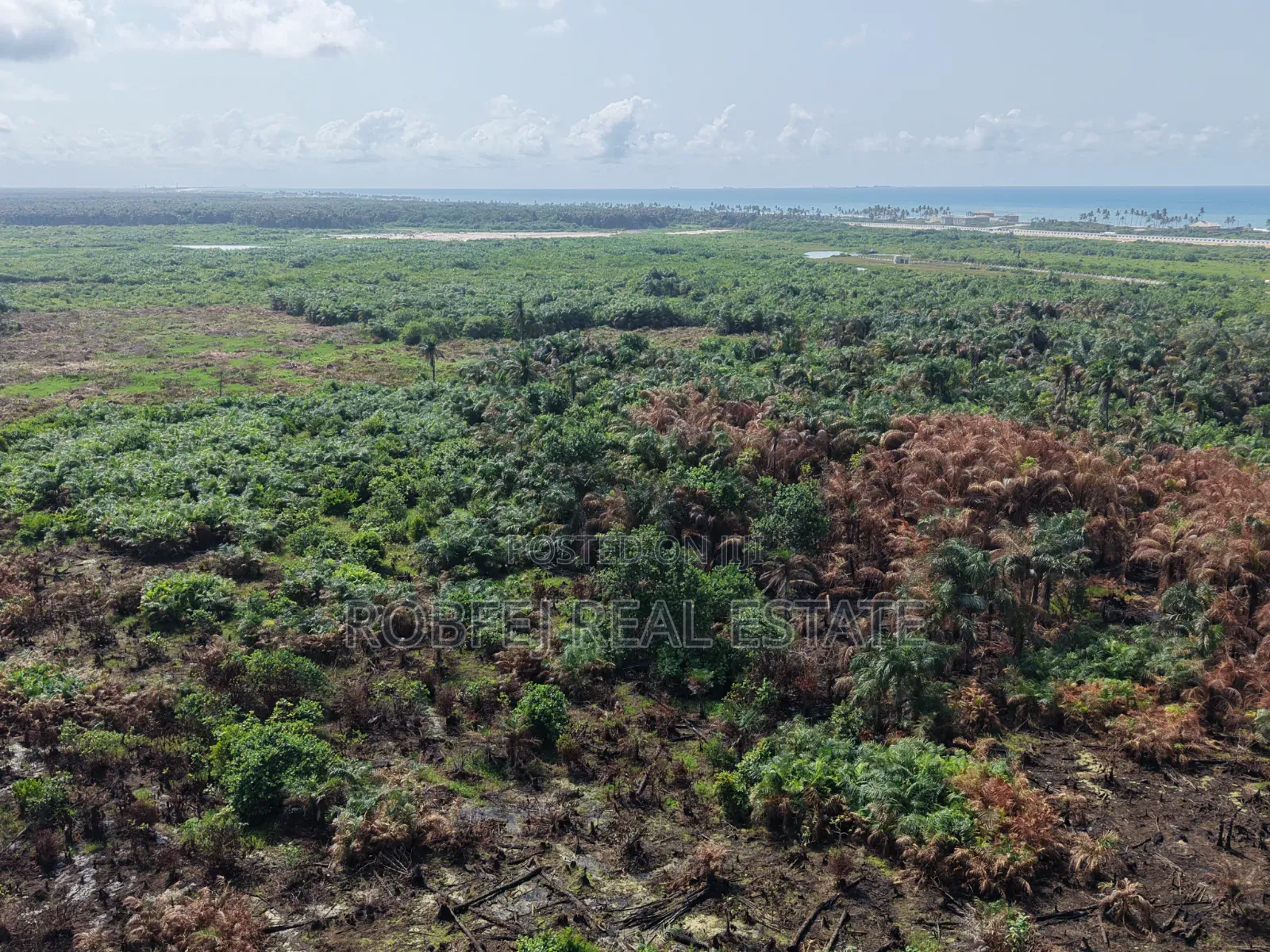 For Sale and Also Available for Car Swap