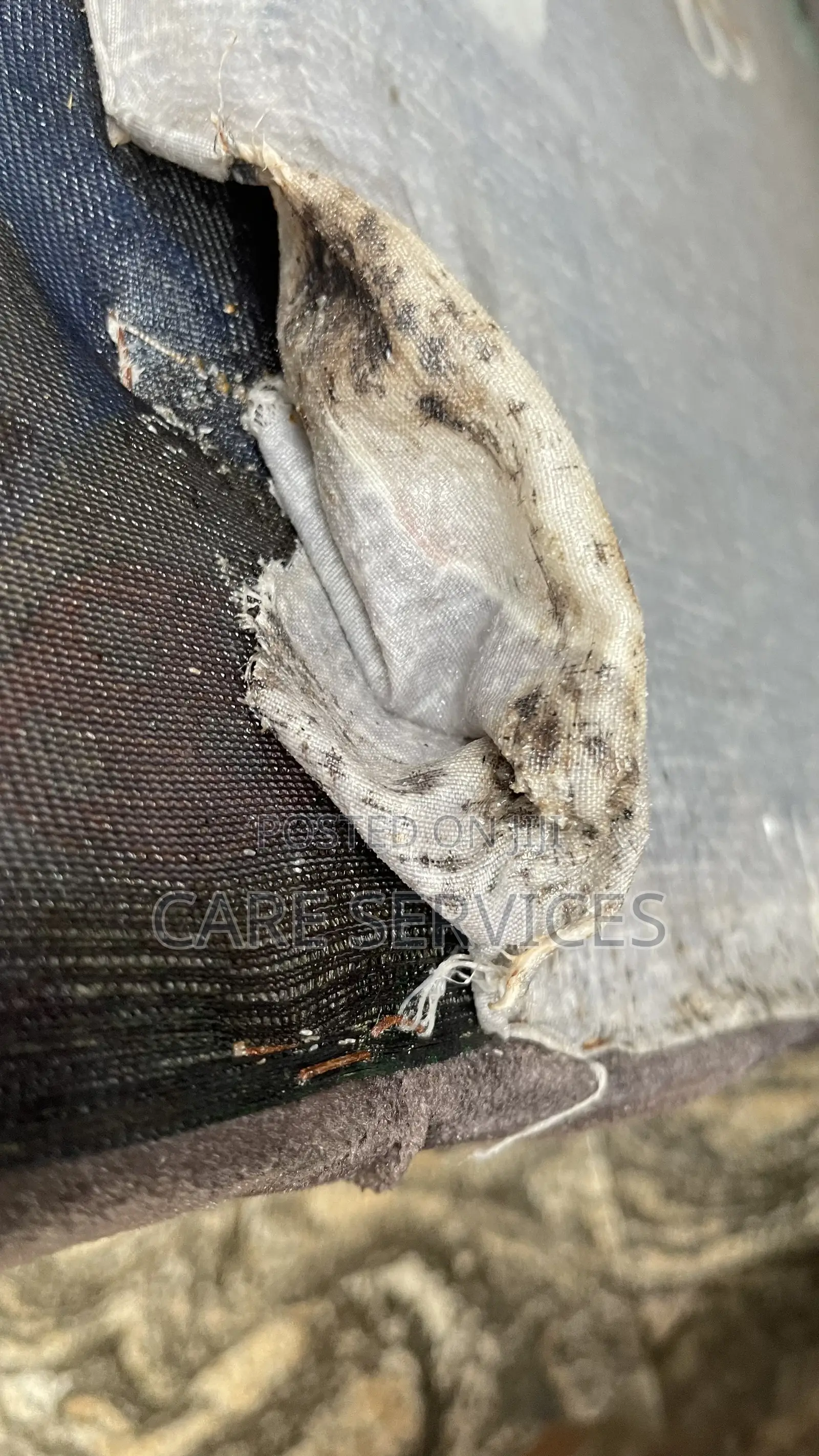 Most Wanted Bed Bug Killer: Top Rated!