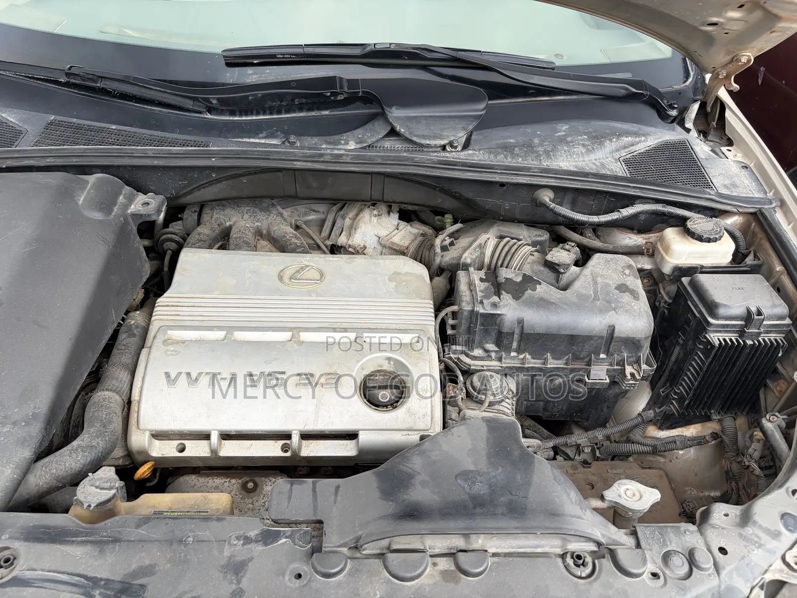 Lexus RX 330 2004 Gold