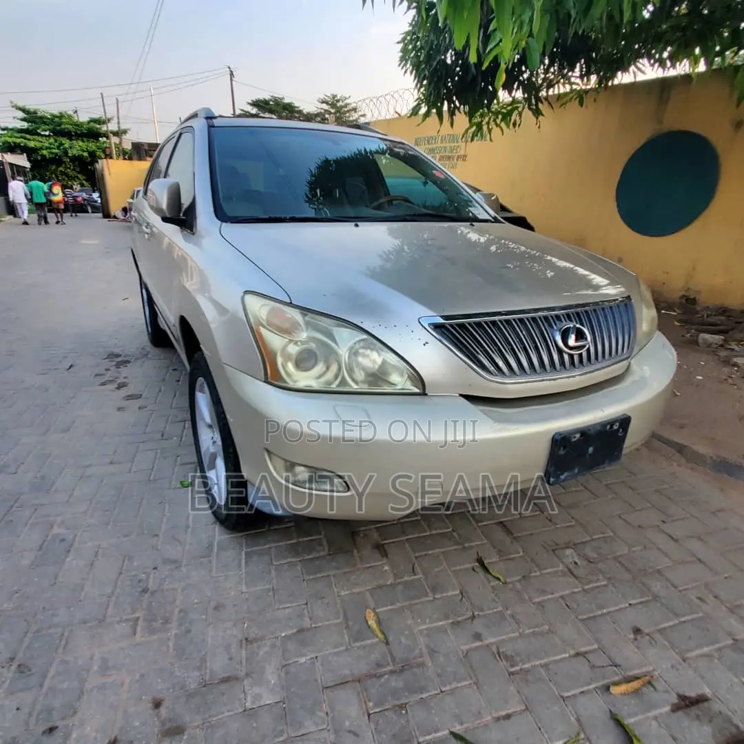 Lexus RX 350 2007 Silver