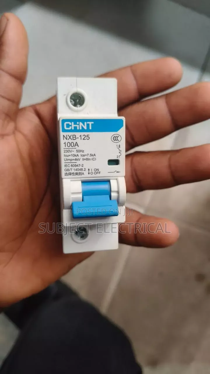 100amps Single Pole Breaker MCB Chint