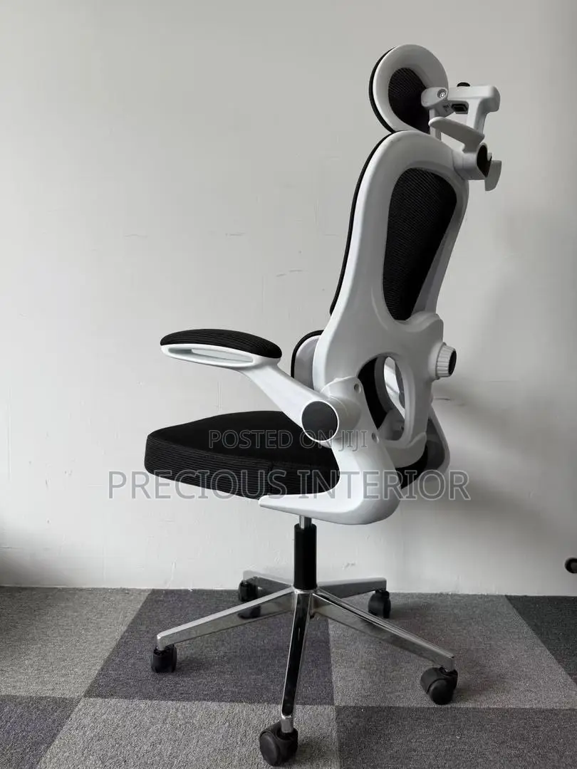 Ergonomic Office Chair