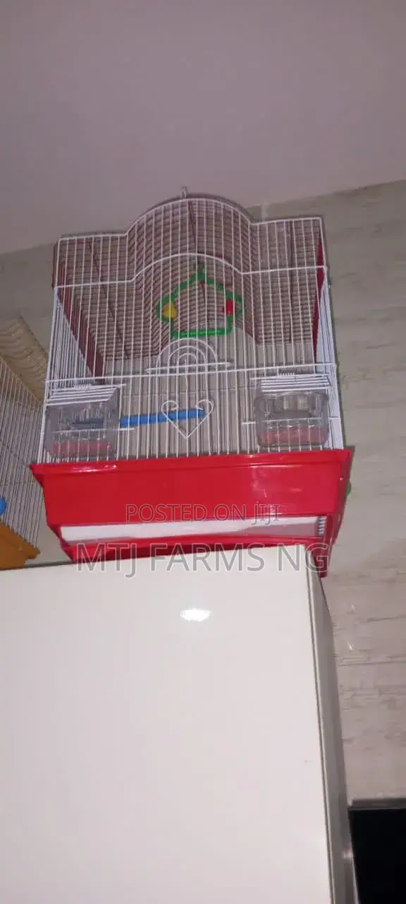 Parrot Cages Are Available