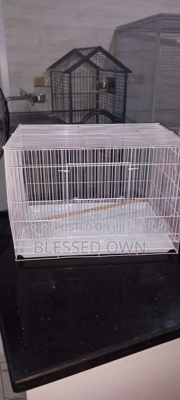Beautiful Parrots Cage Available in All Sizes and Colours