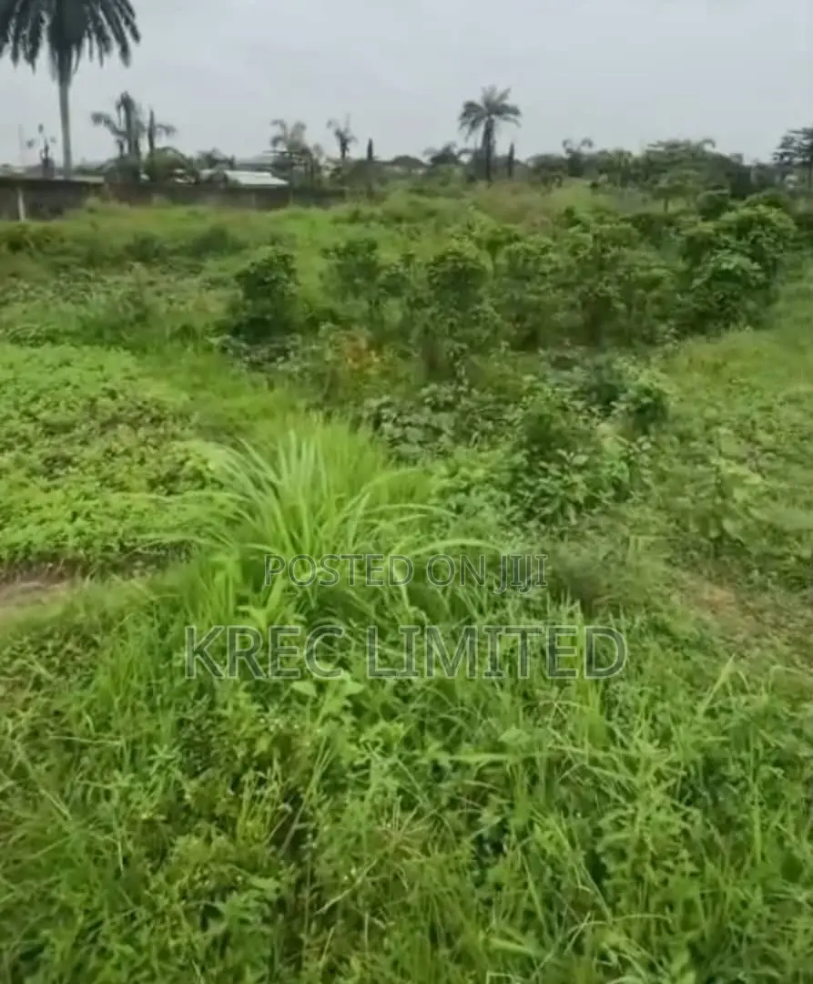 Eneka Igboetche Road, Deed of Conveyance